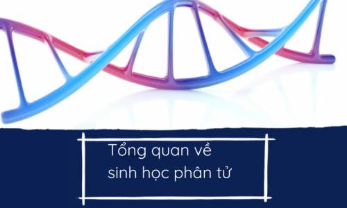 TỔNG QUAN VỀ SINH HỌC PHÂN TỬ