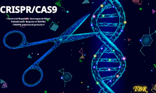 CÔNG NGHỆ CRISPR/CAS9 – Cơ chế tự sửa chữa của tế bào...