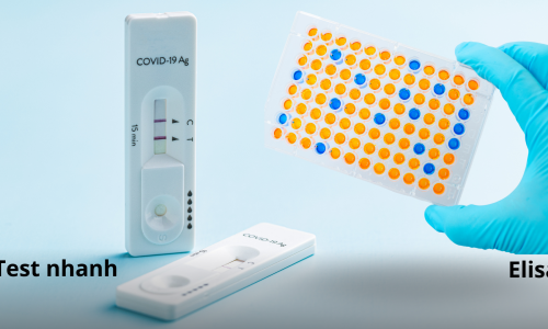 CƠ CHẾ KHÁNG NGUYÊN- KHÁNG THỂ TRONG ELISA, QUE TEST...