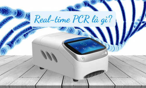 REAL-TIME PCR LÀ GÌ (qPCR)?
