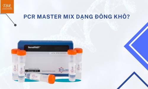 PCR MASTER MIX DẠNG ĐÔNG KHÔ?