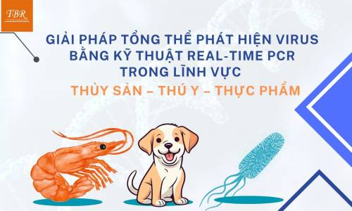 GIẢI PHÁP TỔNG THỂ  PHÁT HIỆN VIRUS BẰNG KỸ THUẬT REAL-TIME...