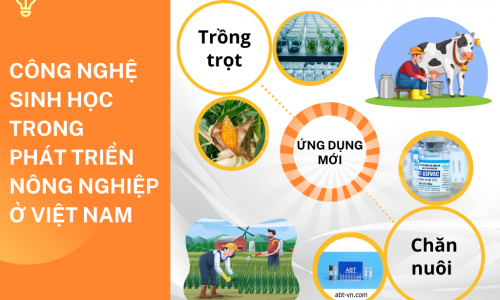 CÔNG NGHỆ SINH HỌC TRONG PHÁT TRIỂN NÔNG NGHIỆP Ở VIỆT NAM