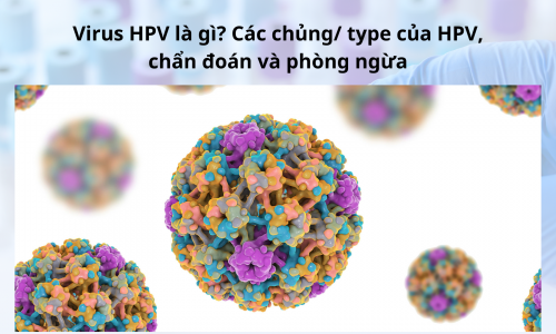 Virus HPV là gì? Các chủng/ type của HPV, chẩn đoán...