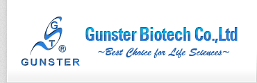 Gunster Biotech Co.,LTD